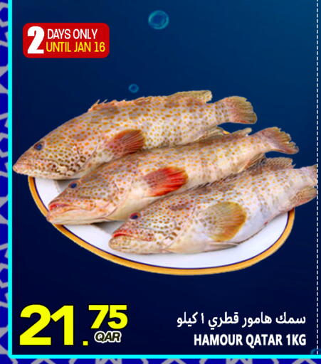 available at قصر الأغذية هايبرماركت in قطر - أم صلال