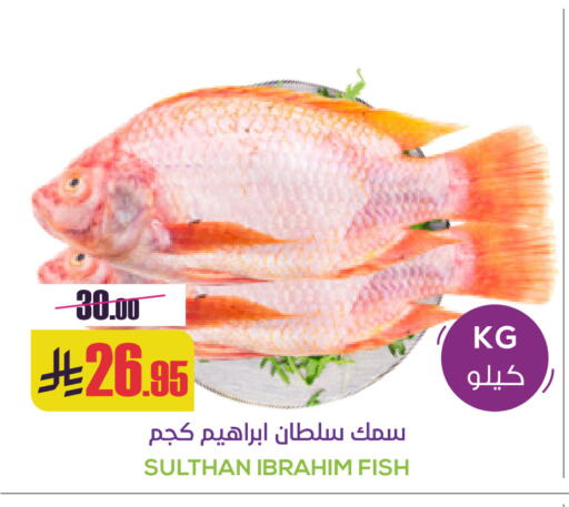 available at Sapt in KSA, Saudi Arabia, Saudi - Buraidah