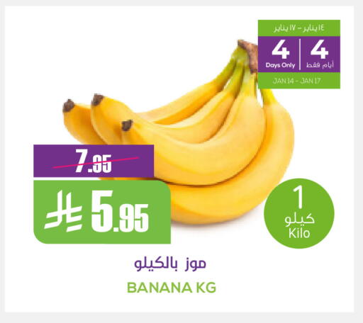 Banana available at سبت in مملكة العربية السعودية, السعودية, سعودية - بريدة