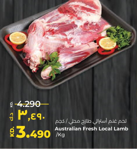 available at لولو هايبر ماركت in الكويت - محافظة الأحمدي