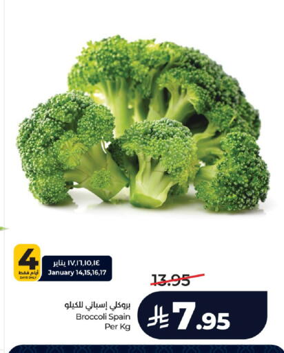 Broccoli from Spain available at لولو هايبرماركت in مملكة العربية السعودية, السعودية, سعودية - الخرج