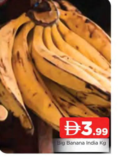 Banana from India available at المدينة in الإمارات العربية المتحدة , الامارات - الشارقة / عجمان