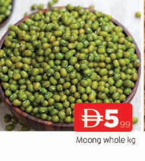 available at المدينة in الإمارات العربية المتحدة , الامارات - الشارقة / عجمان