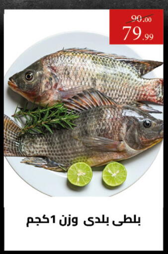 available at Grandy Hypermarket in Egypt - Cairo