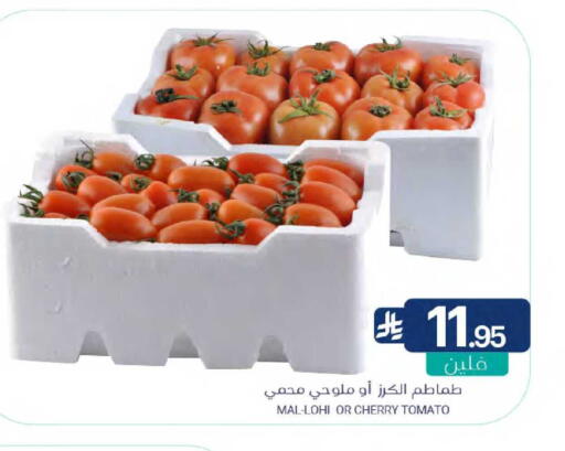 Cherry Cherry tomato available at اسواق المنتزه in مملكة العربية السعودية, السعودية, سعودية - سيهات