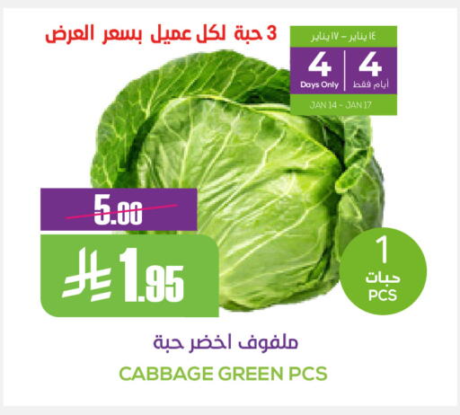 Cabbage available at سبت in مملكة العربية السعودية, السعودية, سعودية - بريدة