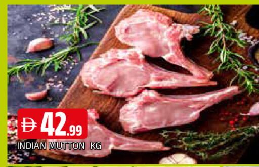 available at المدينة in الإمارات العربية المتحدة , الامارات - الشارقة / عجمان