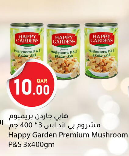 Mushroom available at دانا ماركت in قطر - أم صلال