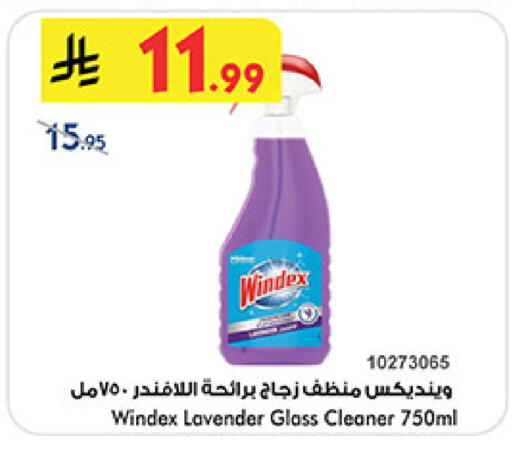 available at بن داود in مملكة العربية السعودية, السعودية, سعودية - المدينة المنورة