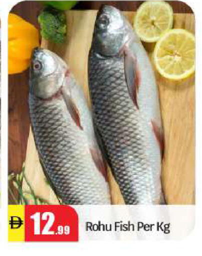 available at بيج مارت in الإمارات العربية المتحدة , الامارات - أبو ظبي