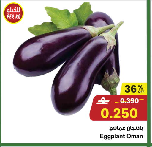 Eggplant from Oman available at Sultan Center  in Oman - Muscat