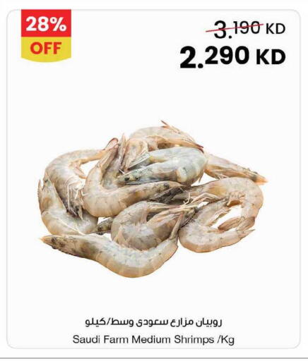 available at مركز سلطان in الكويت - مدينة الكويت