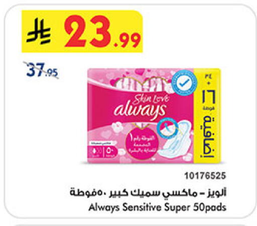 available at بن داود in مملكة العربية السعودية, السعودية, سعودية - المدينة المنورة