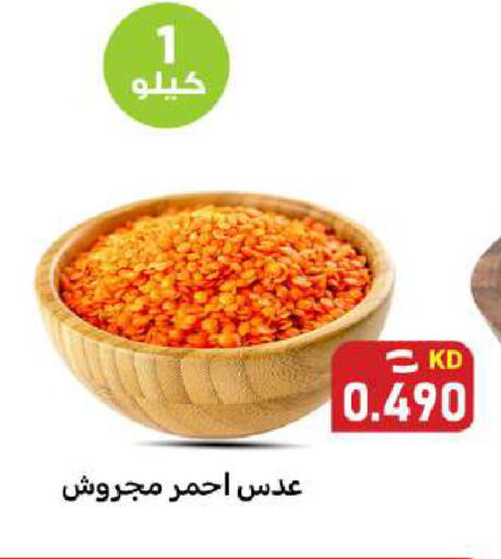 available at شركة سوق ميم المركزي  in الكويت - محافظة الأحمدي