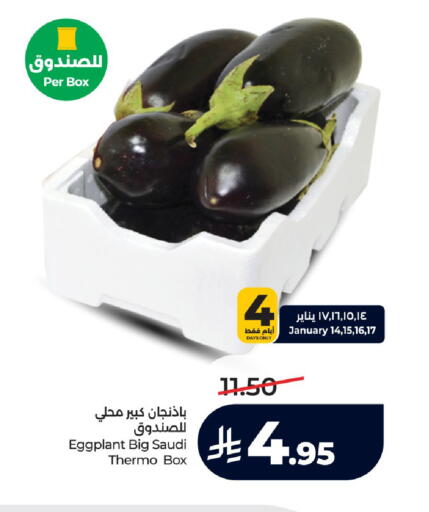 Eggplant from Saudi Arabia available at LULU Hypermarket in KSA, Saudi Arabia, Saudi - Mecca
