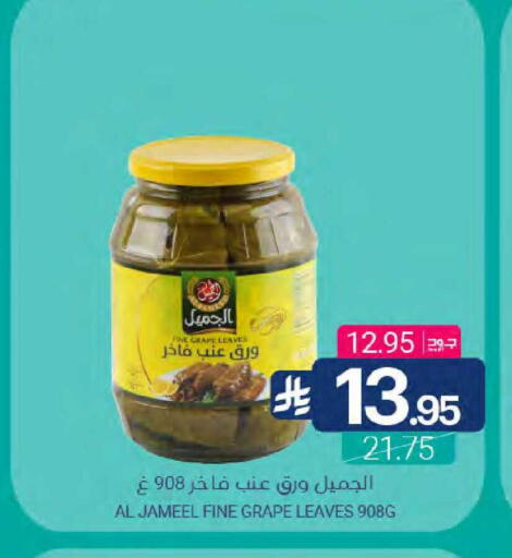 available at Muntazah Markets in KSA, Saudi Arabia, Saudi - Qatif