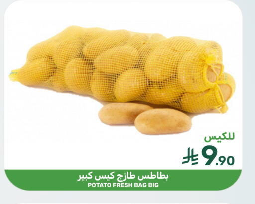 Potato available at Mazaya in KSA, Saudi Arabia, Saudi - Saihat