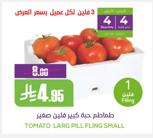 Tomato available at سبت in مملكة العربية السعودية, السعودية, سعودية - بريدة