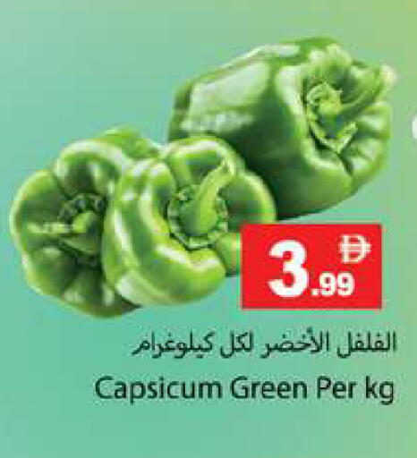 Capsicum available at Gulf Hypermarket LLC in UAE - Ras al Khaimah