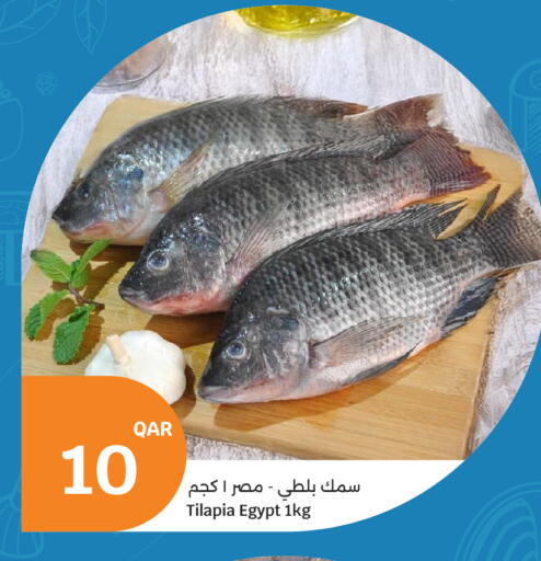 available at سيتي هايبرماركت in قطر - الشحانية