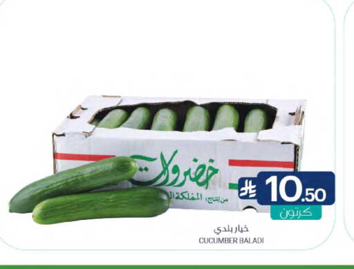 Cucumber available at Muntazah Markets in KSA, Saudi Arabia, Saudi - Qatif