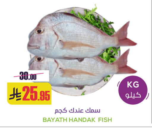 available at Sapt in KSA, Saudi Arabia, Saudi - Buraidah