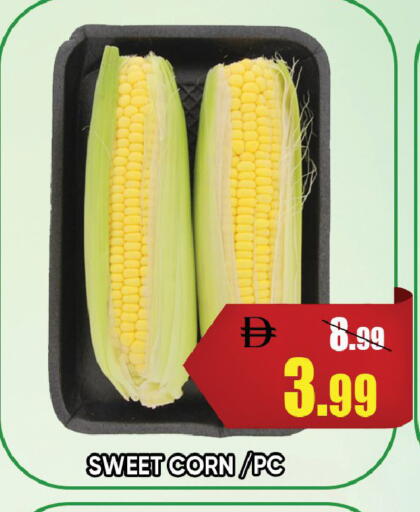 available at ليبتس هايبرماركت in الإمارات العربية المتحدة , الامارات - رَأْس ٱلْخَيْمَة