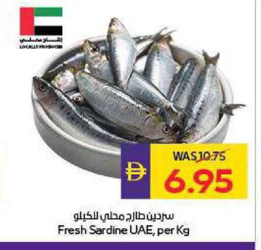 available at أدكووب in الإمارات العربية المتحدة , الامارات - أبو ظبي