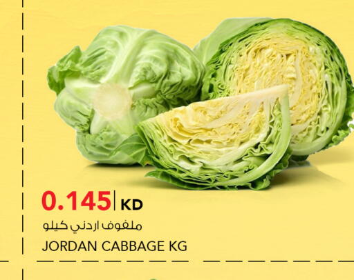 Cabbage from Jordan available at  ALNASSER HYPERMARKET in Kuwait - Ahmadi Governorate