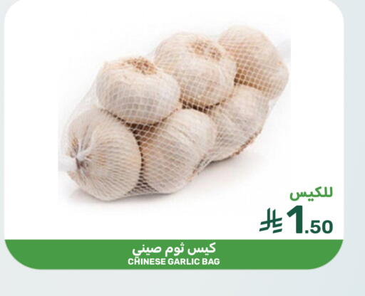 Garlic from China available at  مـزايــا in مملكة العربية السعودية, السعودية, سعودية - القطيف‎