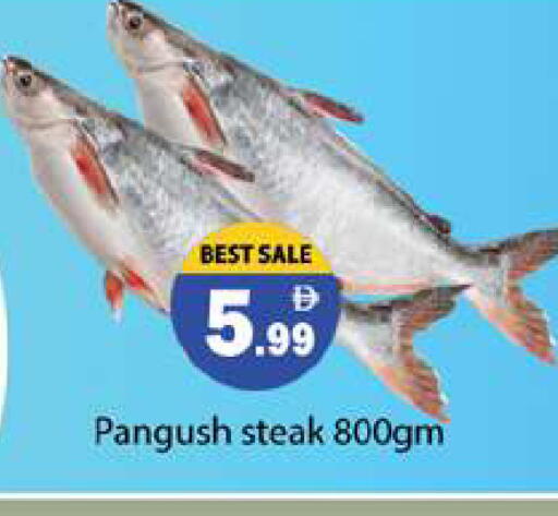 available at Gulf Hypermarket LLC in UAE - Ras al Khaimah