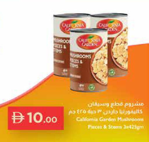 Mushroom available at إسطنبول سوبرماركت in الإمارات العربية المتحدة , الامارات - ٱلْعَيْن‎