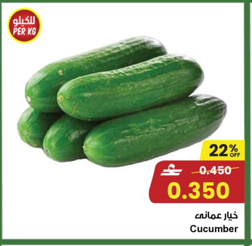 Cucumber available at Sultan Center  in Oman - Muscat