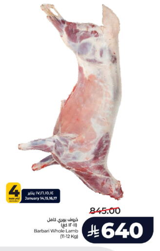 available at LULU Hypermarket in KSA, Saudi Arabia, Saudi - Hail