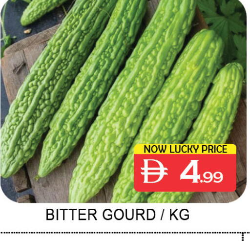 available at لكي سنتر in الإمارات العربية المتحدة , الامارات - الشارقة / عجمان