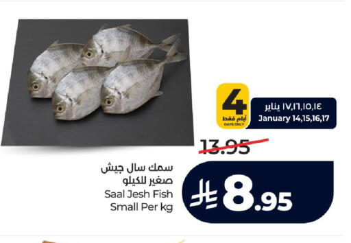 available at LULU Hypermarket in KSA, Saudi Arabia, Saudi - Jeddah