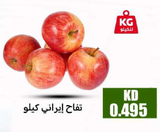 available at شركة سوق ميم المركزي  in الكويت - مدينة الكويت