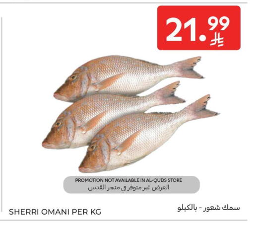 available at كارفور in مملكة العربية السعودية, السعودية, سعودية - جدة