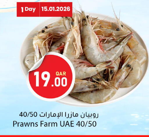 available at دانا ماركت in قطر - أم صلال