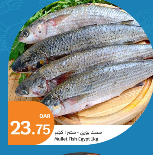 available at City Hypermarket in Qatar - Doha