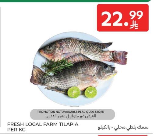 available at كارفور in مملكة العربية السعودية, السعودية, سعودية - جدة