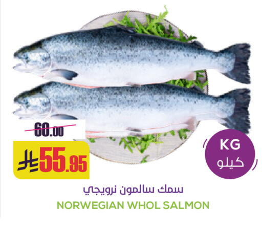 available at Sapt in KSA, Saudi Arabia, Saudi - Buraidah