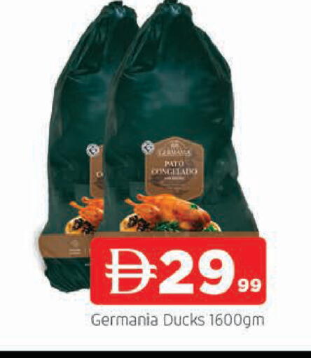 available at المدينة in الإمارات العربية المتحدة , الامارات - الشارقة / عجمان