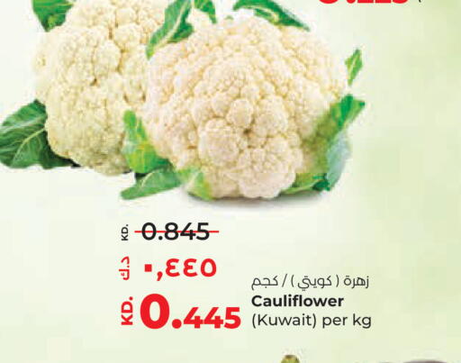 Cauliflower from Kuwait available at Lulu Hypermarket  in Kuwait - Ahmadi Governorate