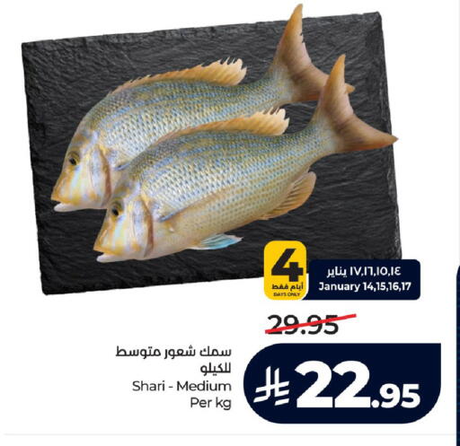 available at لولو هايبرماركت in مملكة العربية السعودية, السعودية, سعودية - جدة