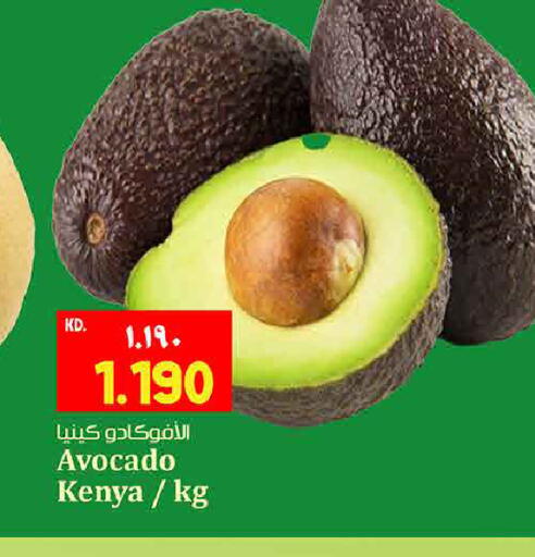 Avocado from Kenya available at هايبر ماركت كابايان in الكويت - مدينة الكويت