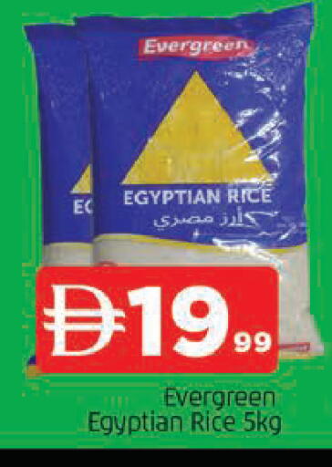 available at المدينة in الإمارات العربية المتحدة , الامارات - الشارقة / عجمان