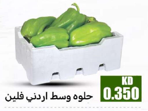 available at شركة سوق ميم المركزي  in الكويت - مدينة الكويت