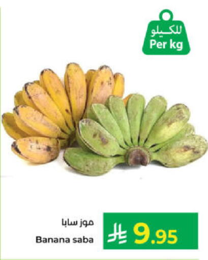 Banana available at كبايان هايبرماركت in مملكة العربية السعودية, السعودية, سعودية - ينبع