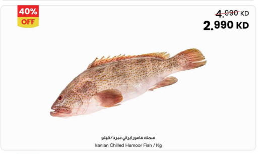 available at مركز سلطان in الكويت - محافظة الجهراء